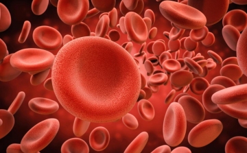 Koronavírus: A vércsoport befolyásolhatja a Covid-19 súlyosságát