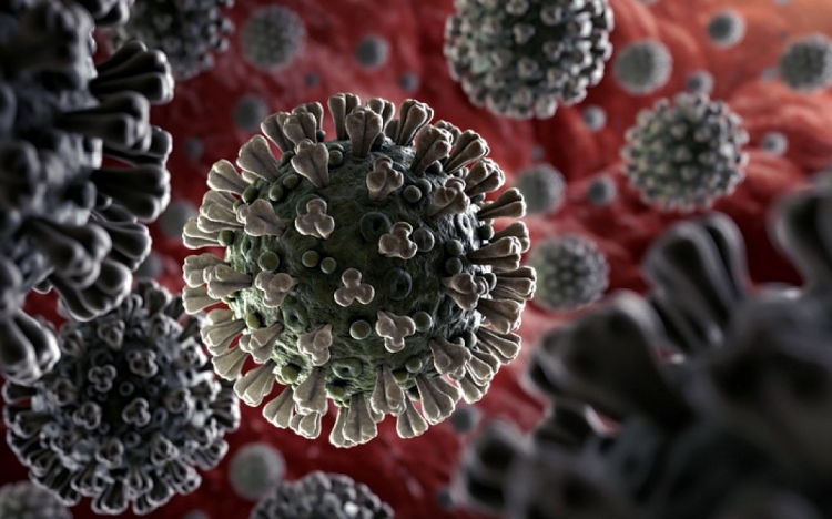 Koronavírus: 766 teszt, 10 új fertőzött
