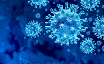 Koronavírus: 338 fertőzött, új negatív rekord! 