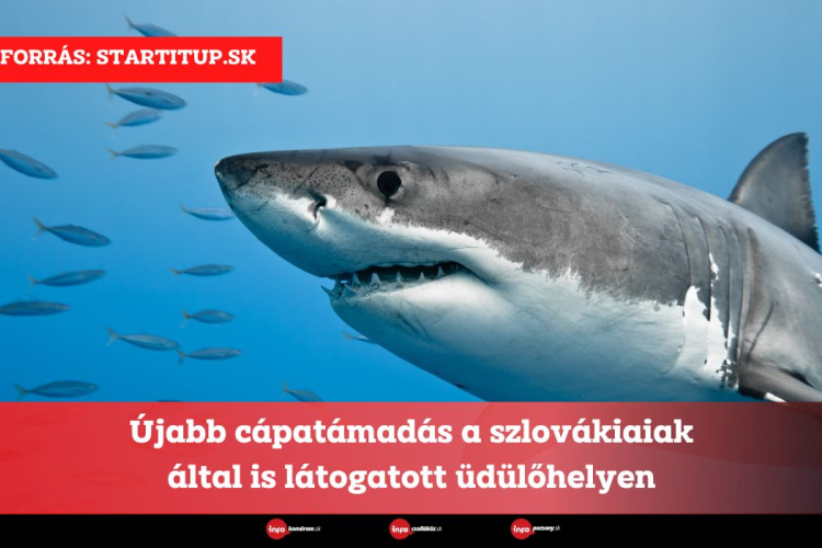 Újabb cápatámadás a szlovákiaiak által is látogatott üdülőhelyen