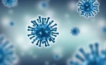 Koronavírus: 9 új fertőzött, 11 gyógyult 