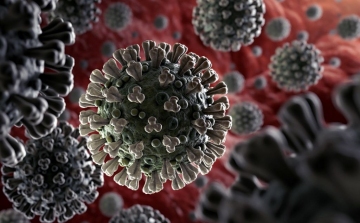Koronavírus: 2884 teszt, 45 új fertőzött
