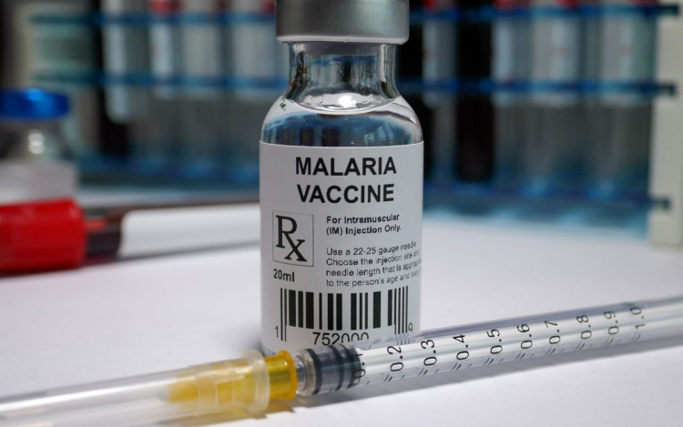 Jóváhagyta a WHO a malária elleni vakcinát