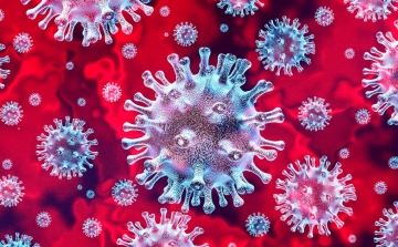 Koronavírus: 1736 új fertőzött, de nem halt meg senki