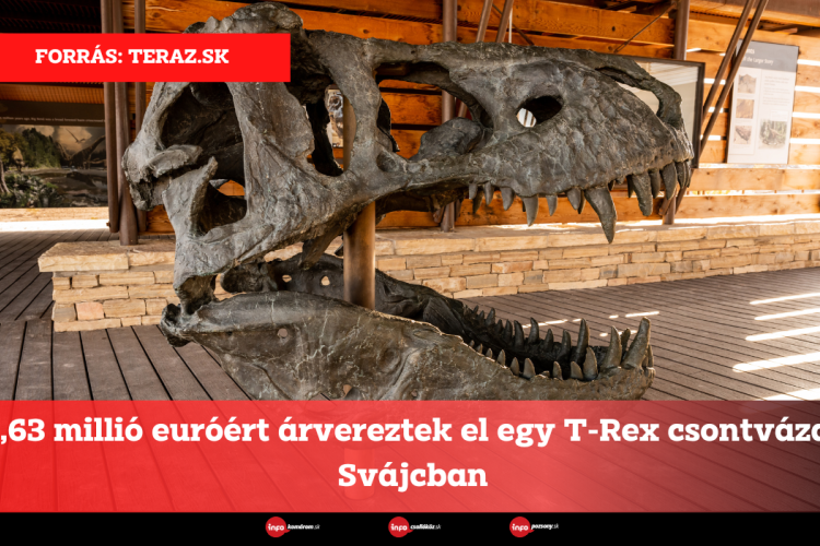 5,63 millió euróért árvereztek el egy T-Rex csontvázat Svájcban