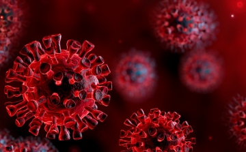 Koronavírus: 784 teszt, 2 új fertőzött
