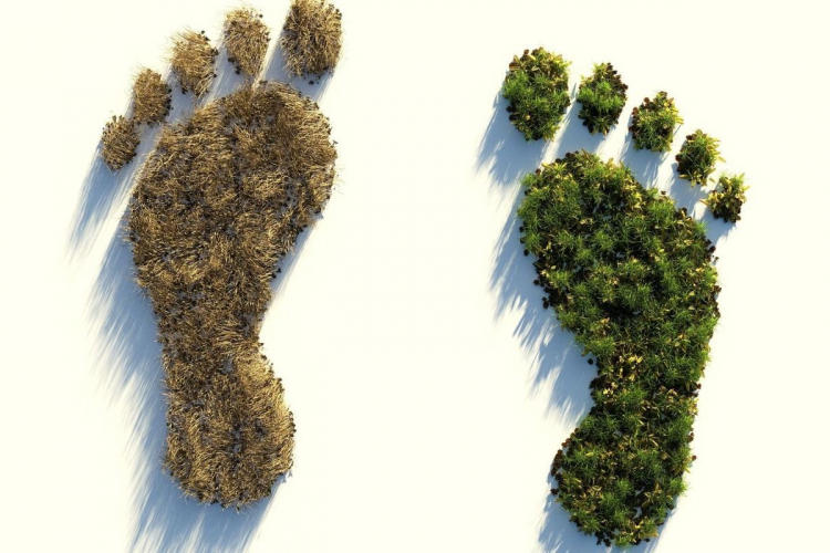 Ötven tipp, amivel jelentősen csökkenthetjük ökológiai lábnyomunkat