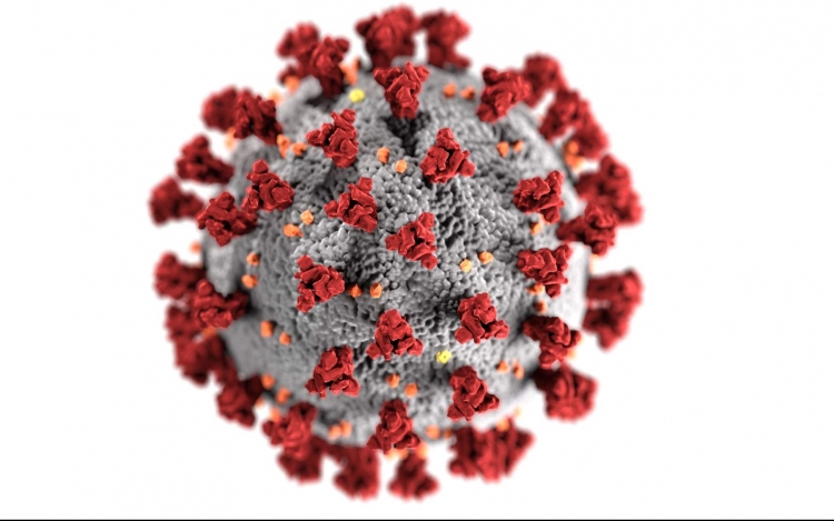 Koronavírus: 14,642 teszt és 2887 új fertőzött