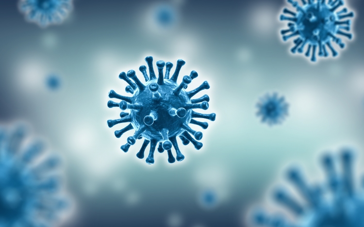 Koronavírus: 24 teszt, 1 új fertőzött