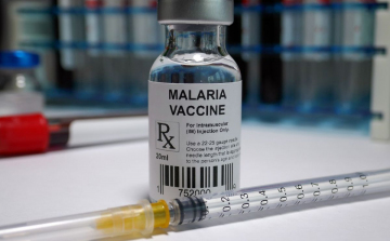 Jóváhagyta a WHO a malária elleni vakcinát