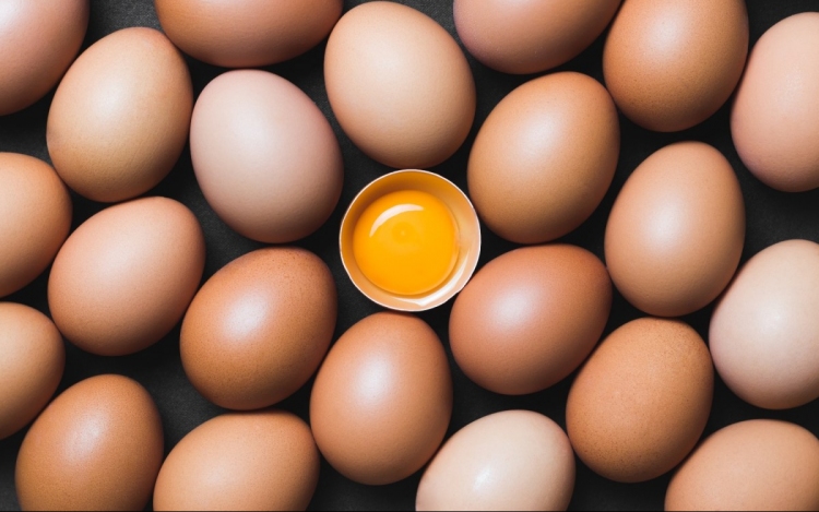 A tojás: árt vagy egészséges? 