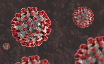 Koronavírus: Meghalt egy COVID-19 beteg, ezzel 39-re nőtt az áldozatok száma