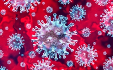 Koronavírus: 9365 teszt, 1728 új fertőzött