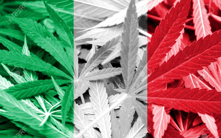 Olaszország: Legalizálhatják a marihuánatermesztést saját célra