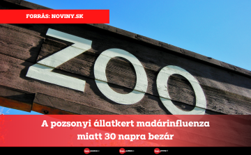 A pozsonyi állatkert madárinfluenza miatt 30 napra bezár