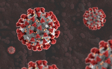 Koronavírus: Majdnem kétszer annyi új fertőzött van, mint a tegnapi rekord-napon