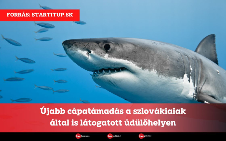 Újabb cápatámadás a szlovákiaiak által is látogatott üdülőhelyen