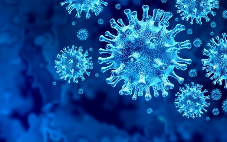 Koronavírus: 338 fertőzött, új negatív rekord! 