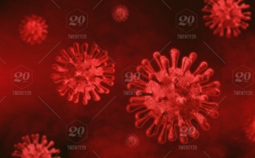 Koronavírus: Egy új fertőzött 