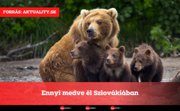 Ennyi medve él Szlovákiában