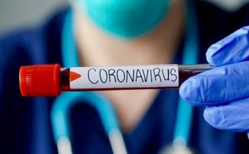 Koronavírus: pénteki adatok