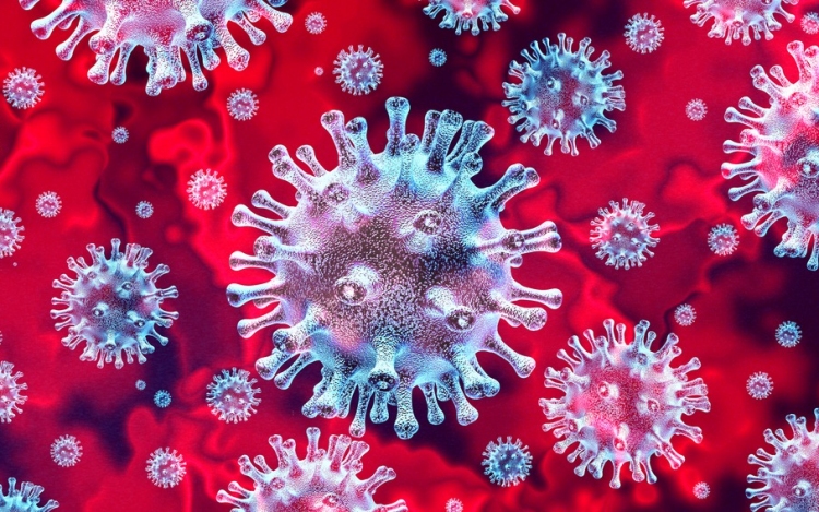 Koronavírus: 9365 teszt, 1728 új fertőzött