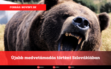 Újabb medvetámadás történt Szlovákiában
