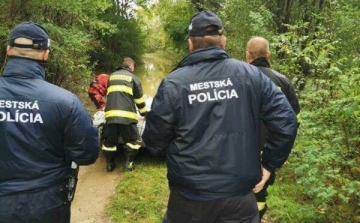 Érsekújvár: Rendőrök és tűzoltók mentettek ki egy férfit az árvíz sújtotta kertből