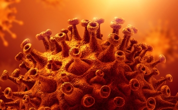 Koronavírus: 1962 új fertőzött, huszonöten meghaltak 