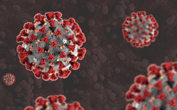 Koronavírus: 4266 mintából 186 új fertőzött