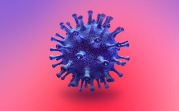 Koronavírus: újabb 10 gyógyult beteg, 0 új fertőzött.