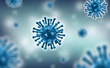 Koronavírus: 2284 teszt, 53 új fertőzött