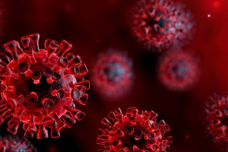 Koronavírus: 567 új fertőzött, hárman meghaltak