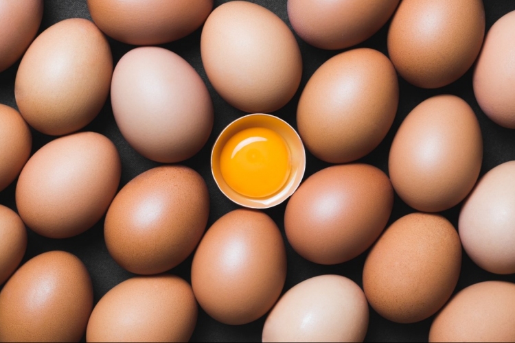 A tojás: árt vagy egészséges? 