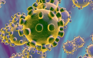 Koronavírus: Újabb negatív rekord, csütörtökön 419 új fertőzöttet regisztráltak