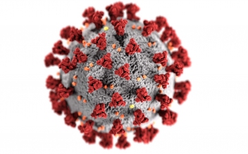 Koronavírus: 14,642 teszt és 2887 új fertőzött