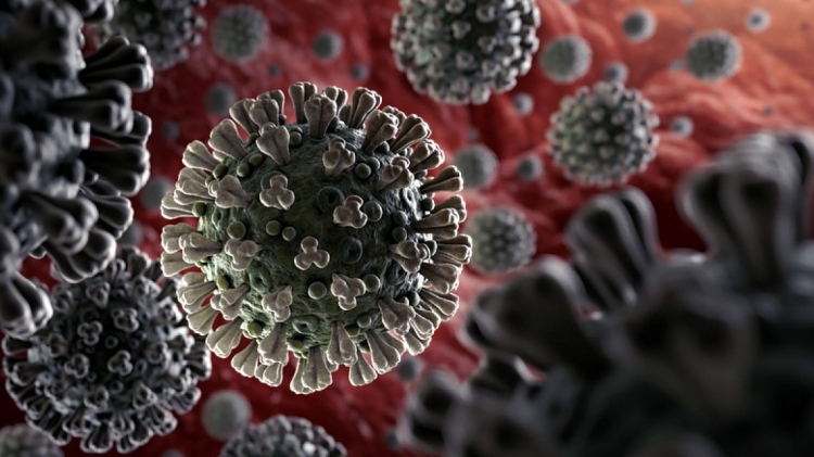 Koronavírus: 2 741 teszt, 49 új fertőzött