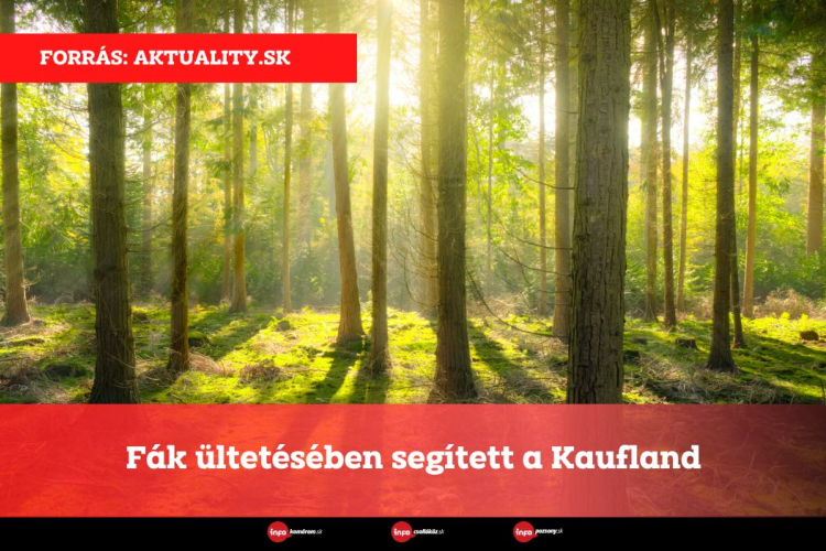 Fák ültetésében segített a Kaufland