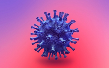 Koronavírus: 873 tesztből 2 bizonyult pozitívnak