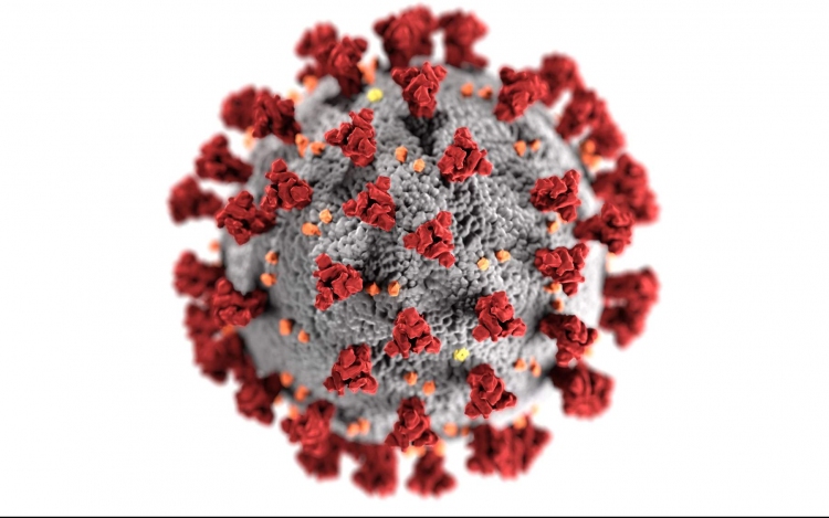 Koronavírus: 6175 teszt, 1312 fertőzött