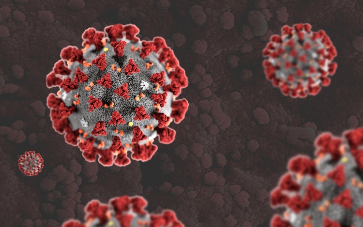 Koronavírus: Hétfőn 91 új fertőzöttet regisztráltak