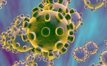 Koronavírus: szerdai adatok