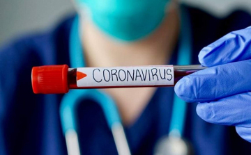 Koronavírus: szombati adatok 