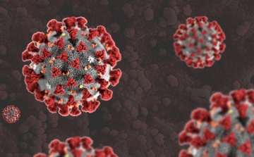 Koronavírus: 922 teszt, 22 új fertőzött