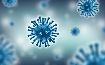 Koronavírus: 1163 teszt, 6 új fertőzött