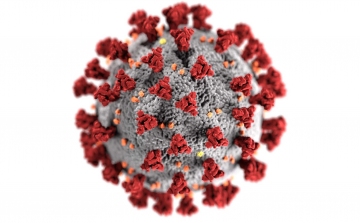 Koronavírus: 6175 teszt, 1312 fertőzött