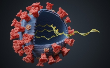 Már Szlovákiában is megerősítették az új koronavírus-mutáció megjelenését 