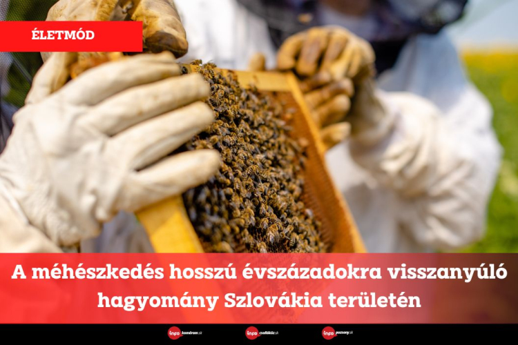 A méhészkedés hosszú évszázadokra visszanyúló hagyomány Szlovákia területén