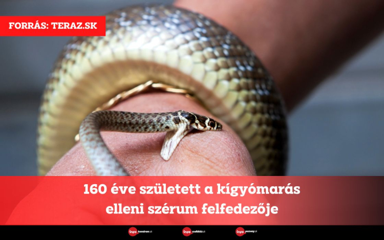 160 éve született a kígyómarás elleni szérum felfedezője