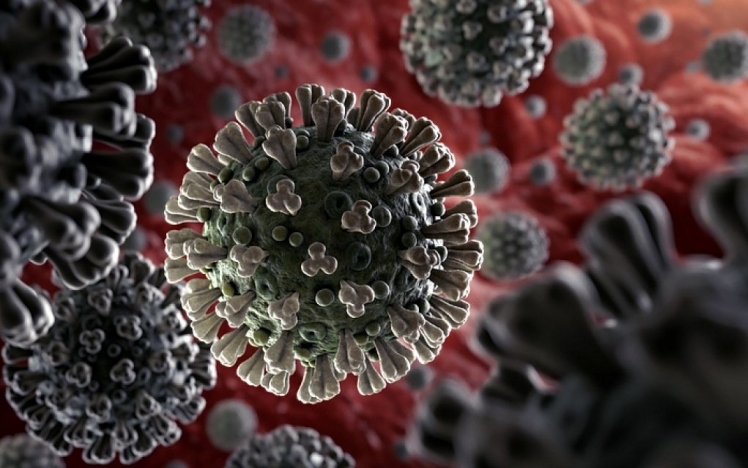 Koronavírus: 3131 teszt, 75 új fertőzött